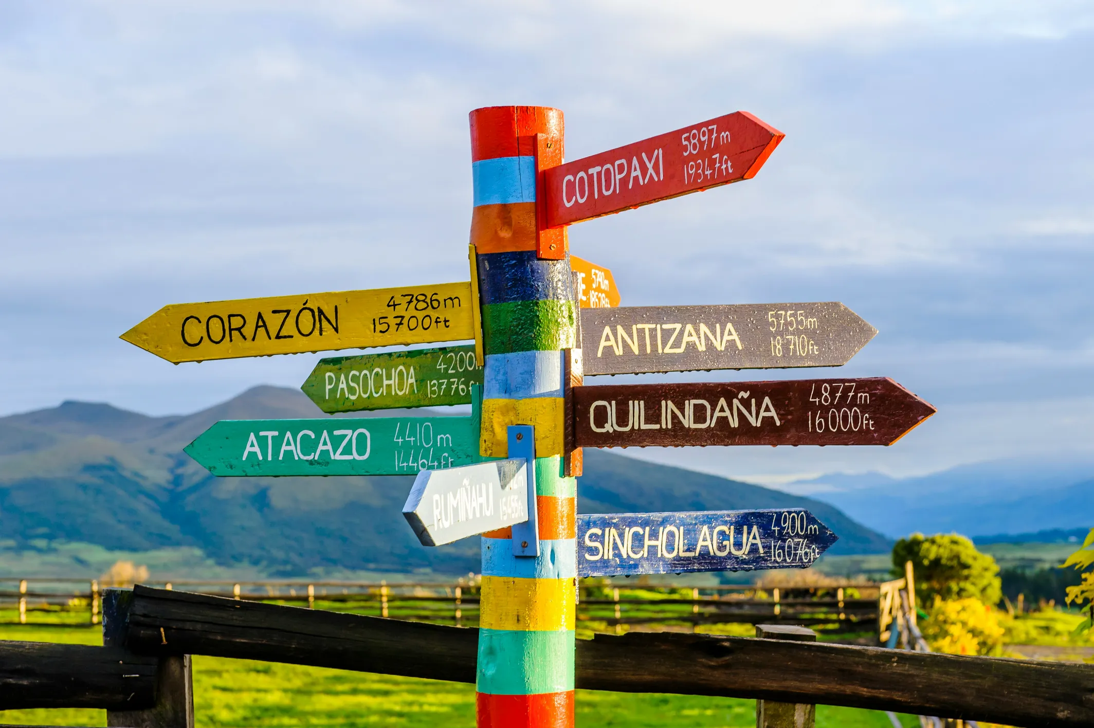 Road sign pointing in many different directions